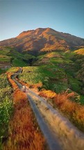 beautiful aerial view following farmer riding motorbike on mountain