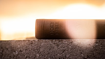 sunlight on the spine of a Holy Bible 