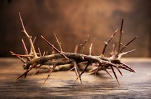 The crown of thorns worn by Jesus Christ is on a wooden surface, its sharp spikes protrude against a blurred background