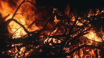 Tree branches burning in a campfire at night in slow motion