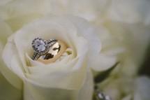 engagement ring in a white rose 