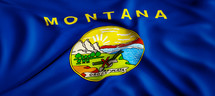 state flag of Montana 
