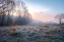 a peaceful, winter sunrise over a meadow. pink,blue and yellow sunrise