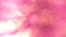 light spectrum pink fuchsia color background backdrop