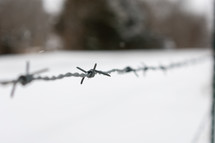 barb wire in snow 