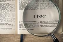 1 Peter under a magnifying glass 