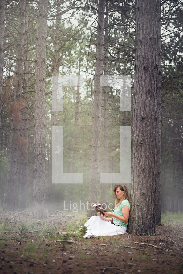a woman sitting under a tree in a forest reading 