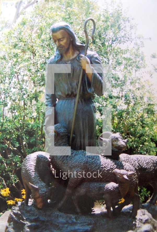 The Good Shepherd - An image of Jesus with a shepherd's staff overlooking several sheep who know their master's call. 