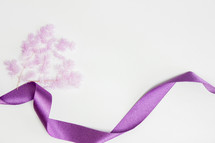 purple flowers and purple ribbon on white 