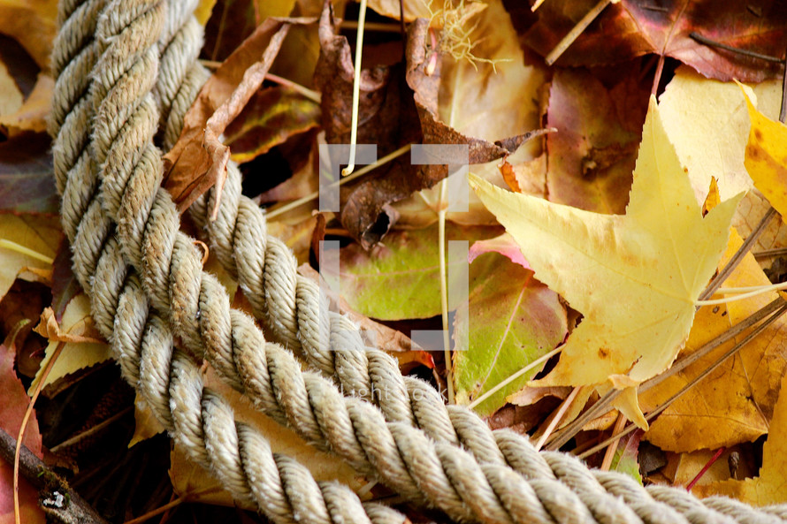 rope on fall leaves 
