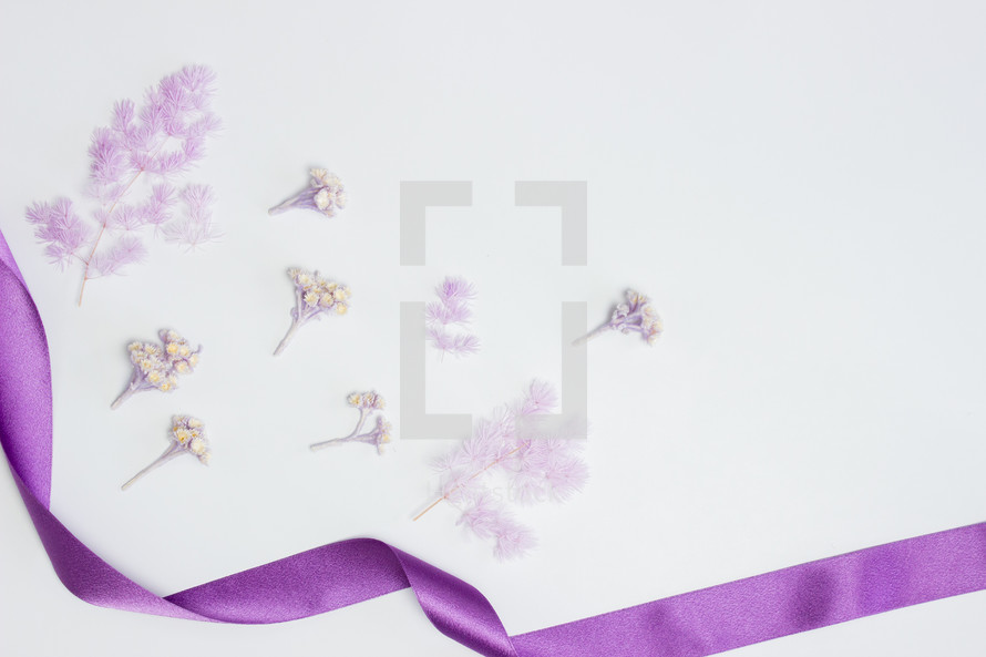 purple flowers and purple ribbon 