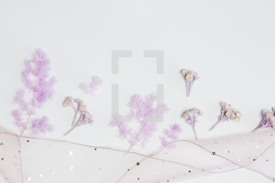 purple flowers on a white background 