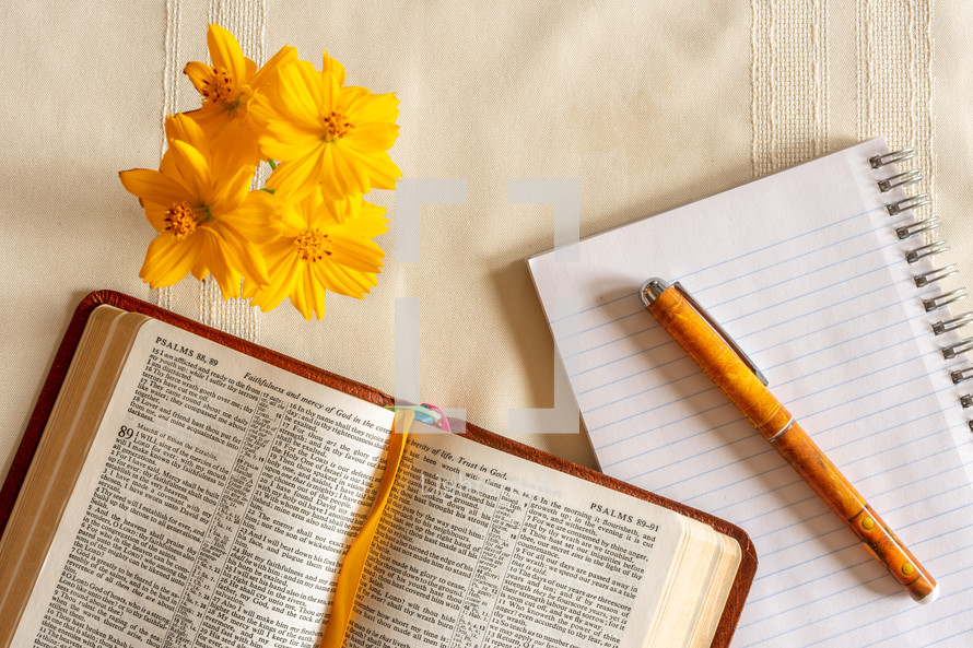 opened Bible, pen, notepad, and flowers 