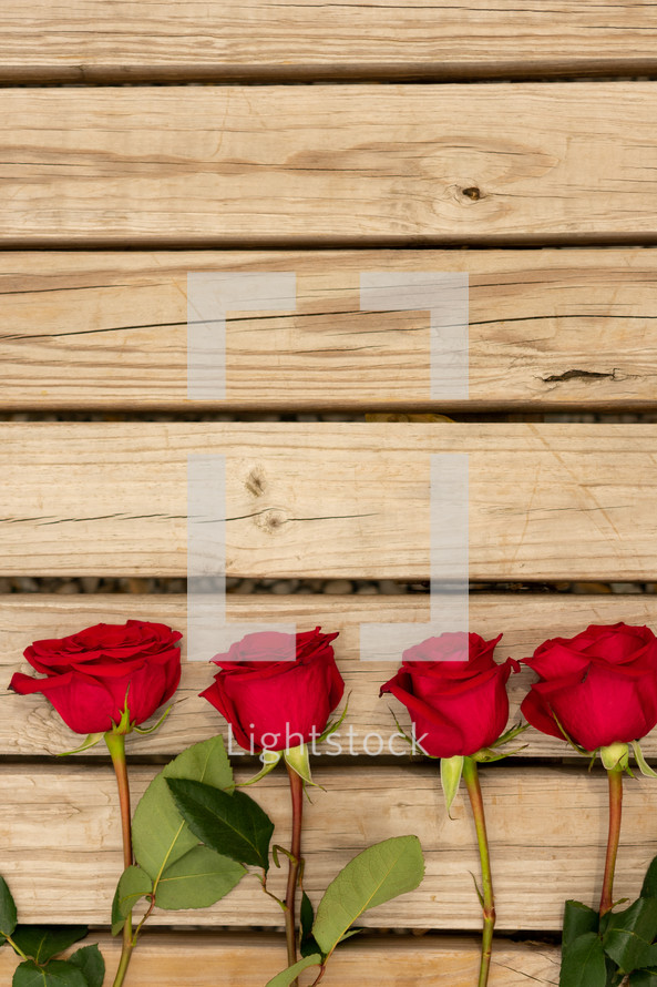 red rose border on wood 