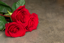 three red roses 