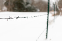 barb wire and snow 