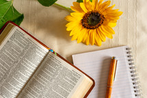 opened Bible, pen, notepad, and sunflower 