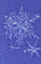 Steller snow crystals, snow flakes
