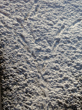 snow texture useful as a background