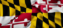 state flag Maryland 