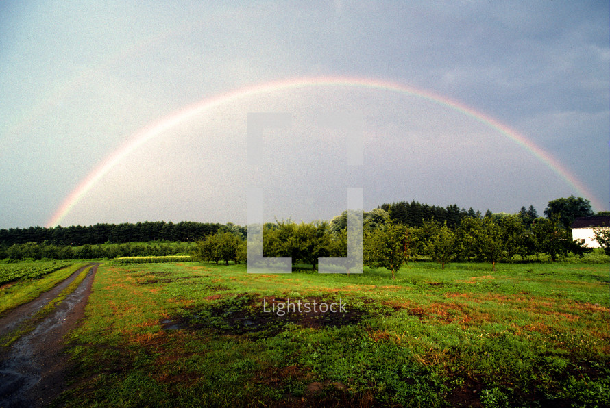 rainbow over a rural landscape 