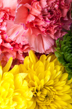 bouquet of flowers closeup 