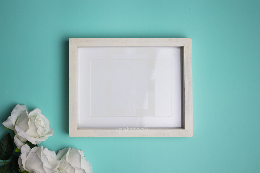 Blank white frame on turquoise background with white roses