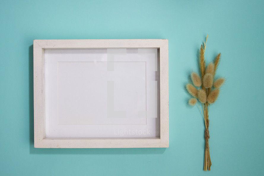 Blank white frame on turquoise background with wheat