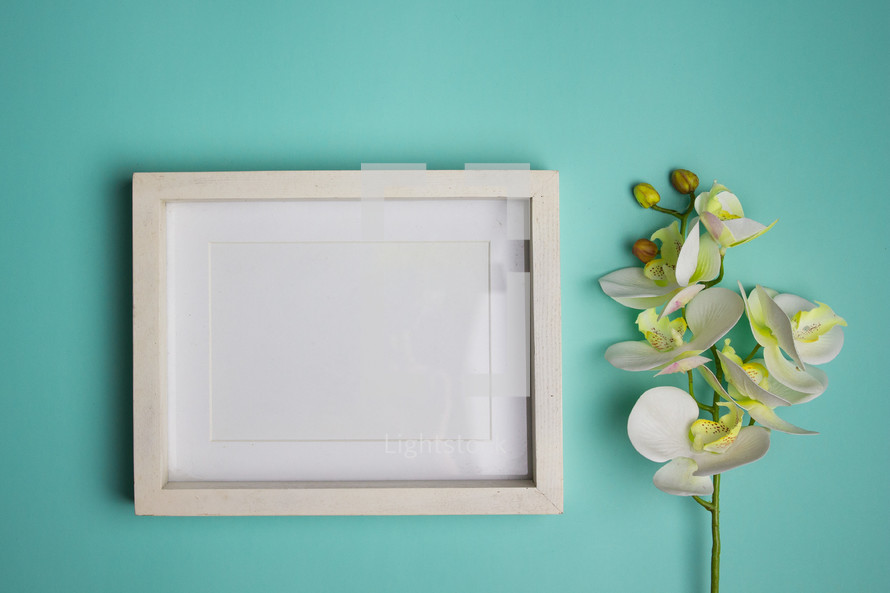 Blank white frame on turquoise background with an orchid