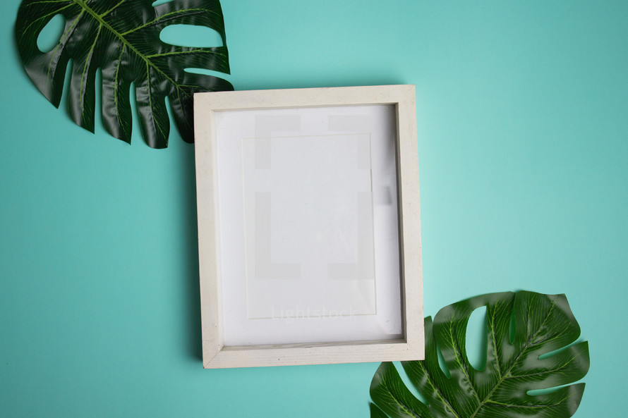 Blank white frame and leaves on turquoise background