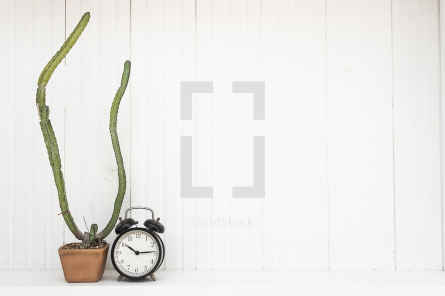 alarm clock and cactus 