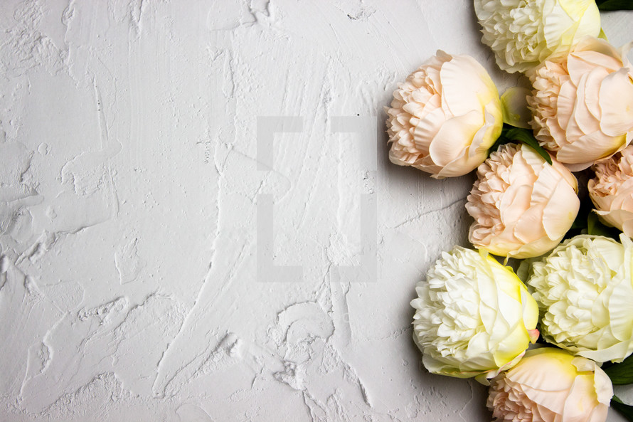 flowers on a textured white background 