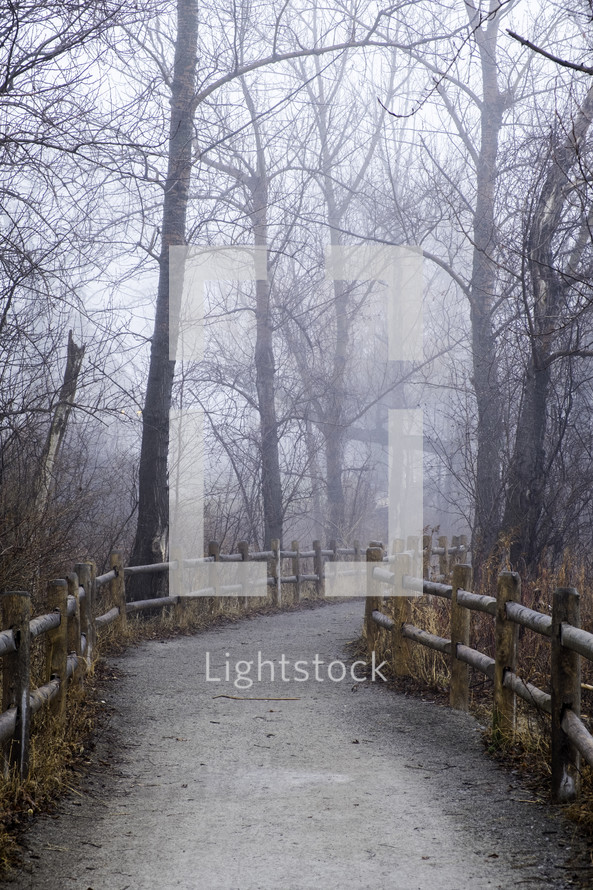 trail and fog 