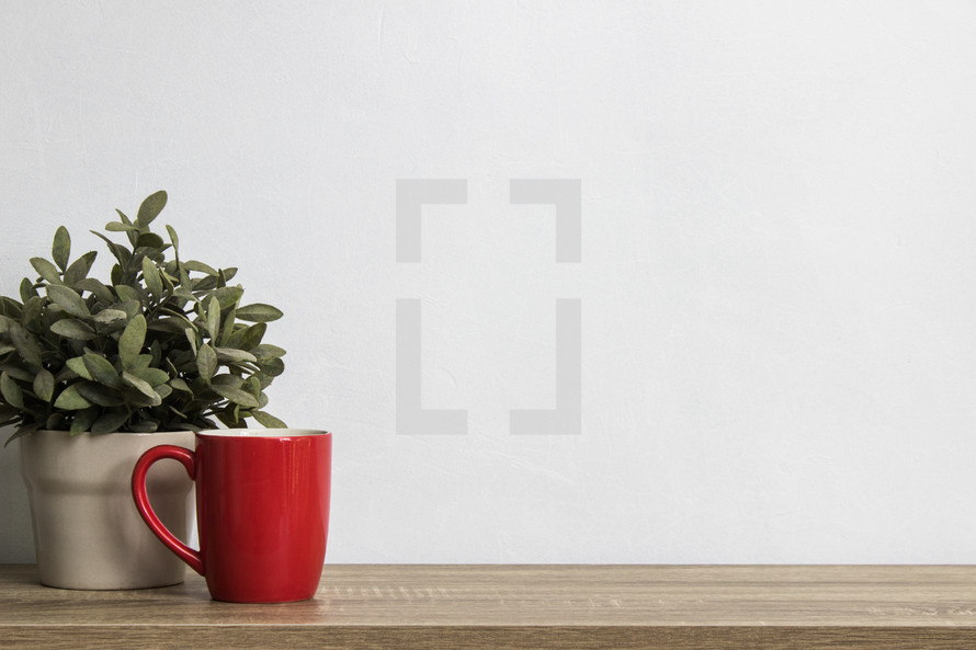 houseplant and red mug 