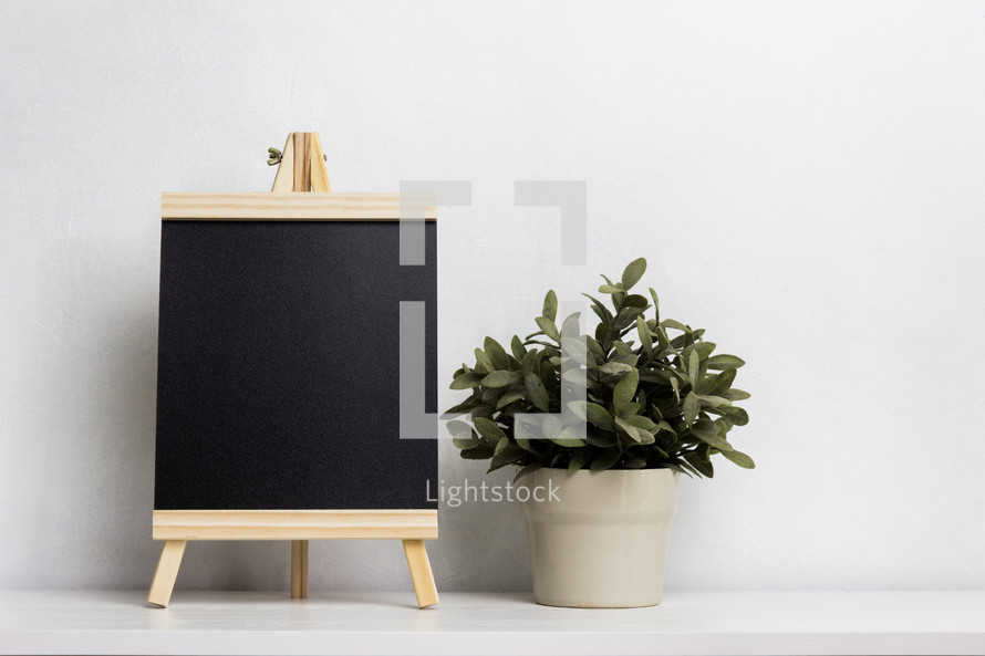 blank easel and houseplant 