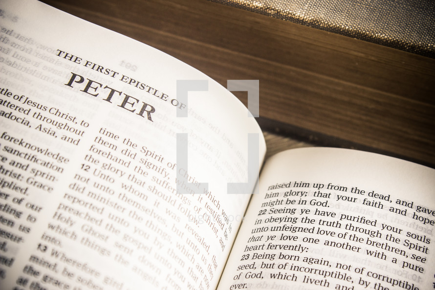 The first Epistle to Peter 