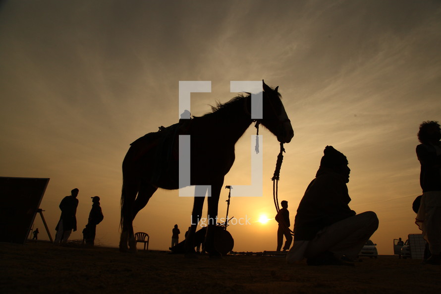 silhouette of a horse and film crew 