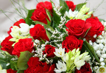 bouquet of red and white flowers 