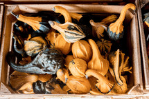 crate of gourds 