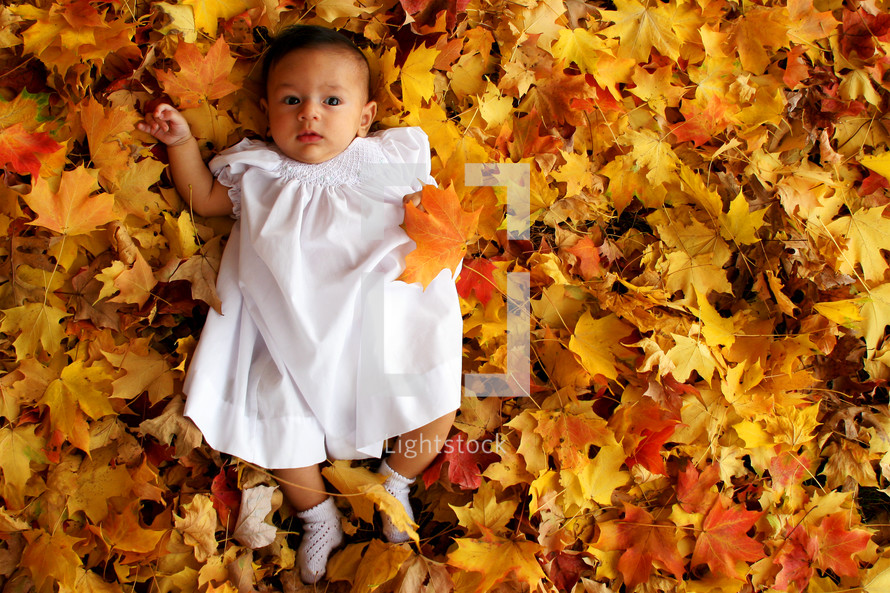 infant girl lying in a pile of leaves