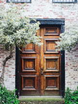 old wood door 