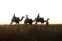 wise men traveling on camels 