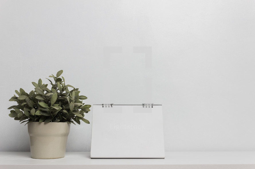 blank paper sign and houseplant 