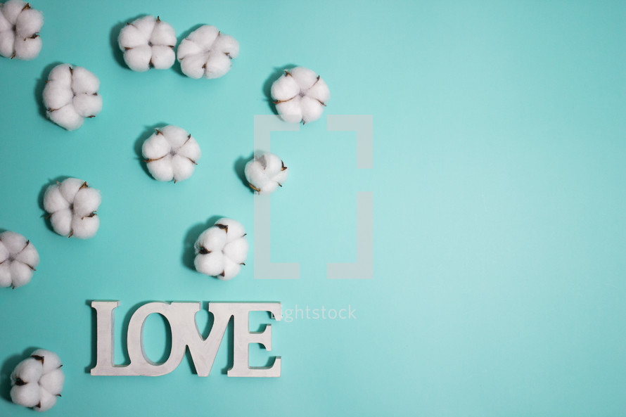 word love and cotton on a turquoise background 
