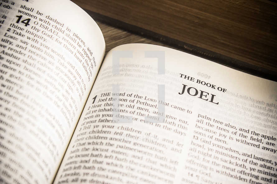 The Book of Joel 