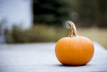one small pumpkin 