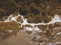 aerial view over a sandy coastal forest 