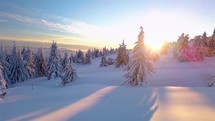 Beautiful sunrise in winter snowy forest landscape in frozen nature panorama blue morning
