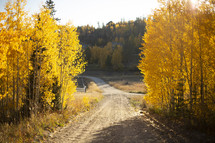 fall scene with dirt road 