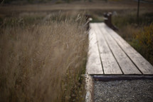 bench and brown grasses in a field 